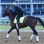 can i bet the kentucky derby on draftkings